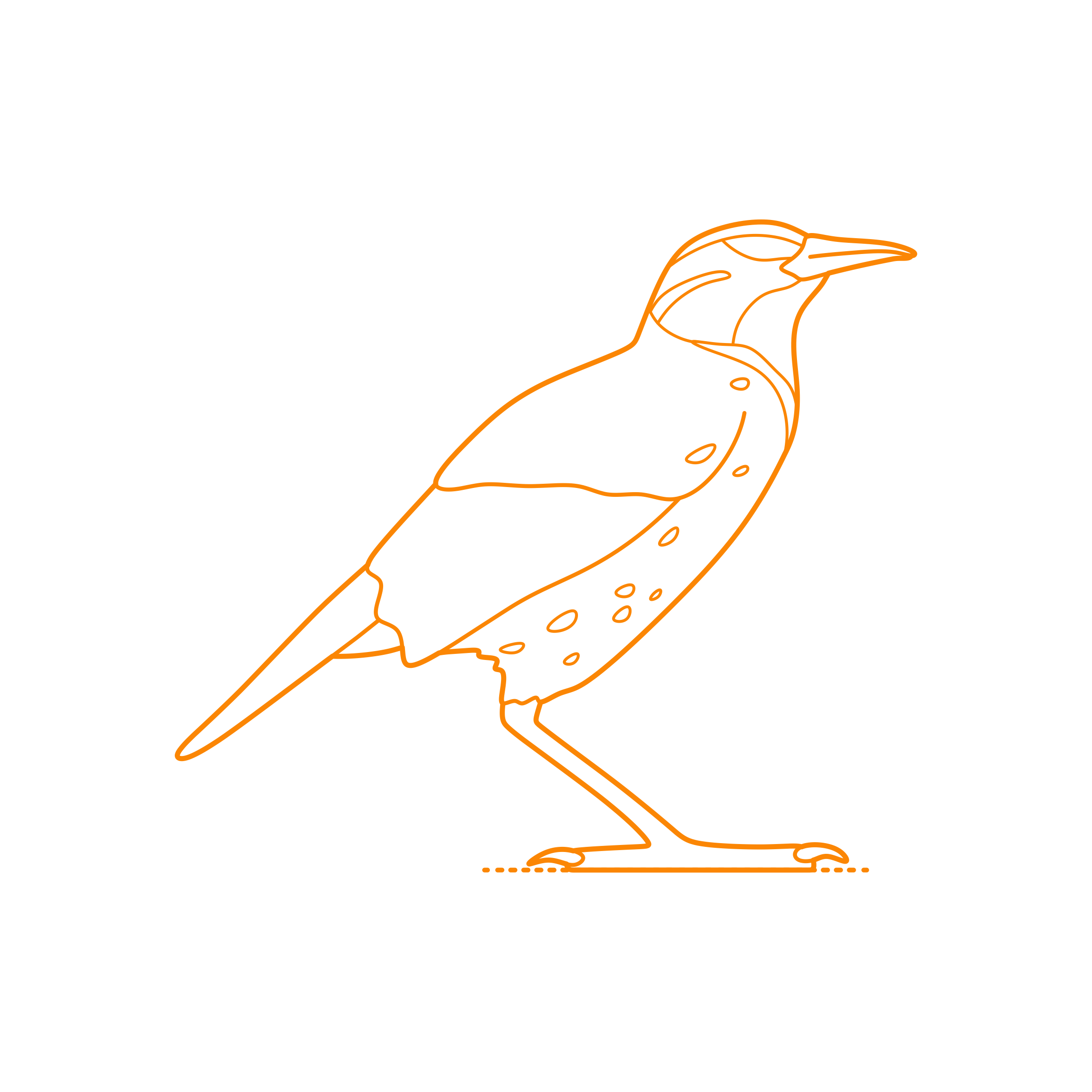 Animals Songbirds Eastern Meadowlark Sticker Svg Vector Free Vectors